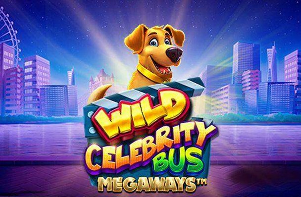 Wild Celebrity Bus
